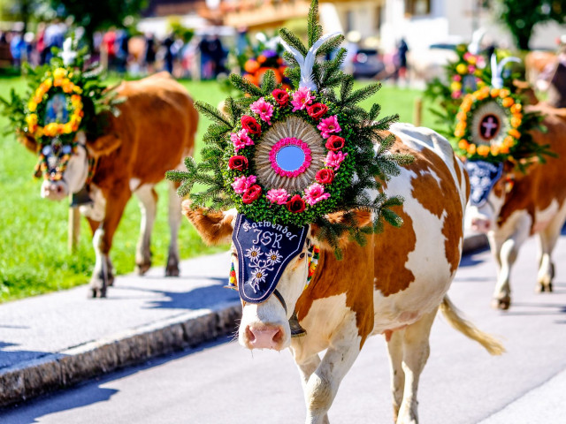 Annecy - Descente des Alpages - Voyages Feyen - photo 24