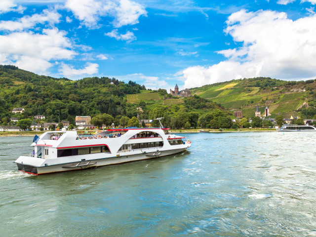 Croisière sur le Rhin Romantique - photo 21