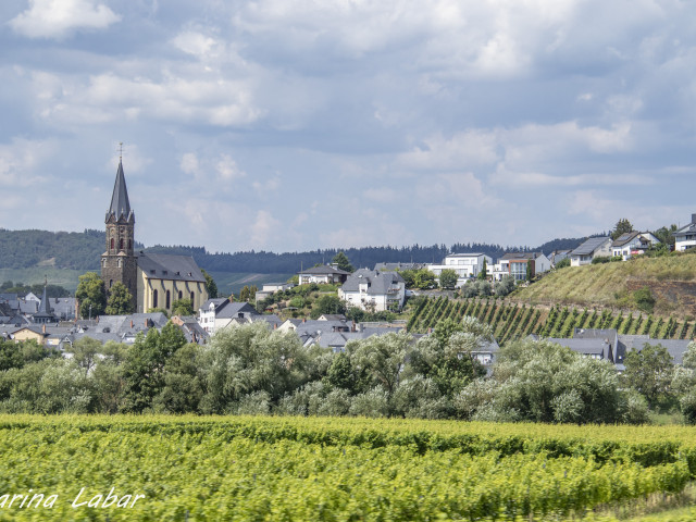 Trèves et Bernkastel - photo 27