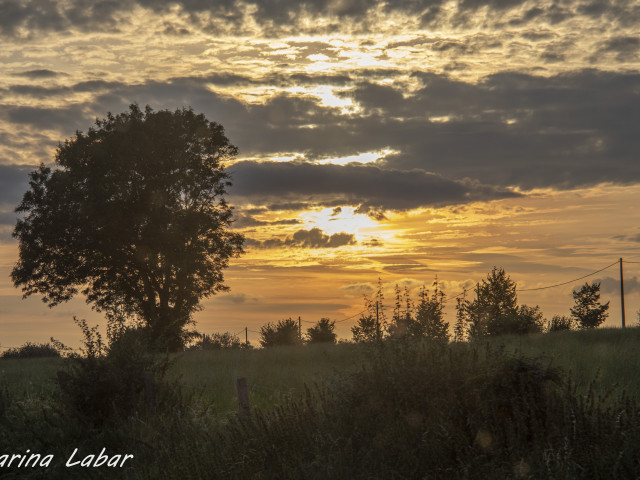 Pairi Daiza - Voyages Feyen - photo 26